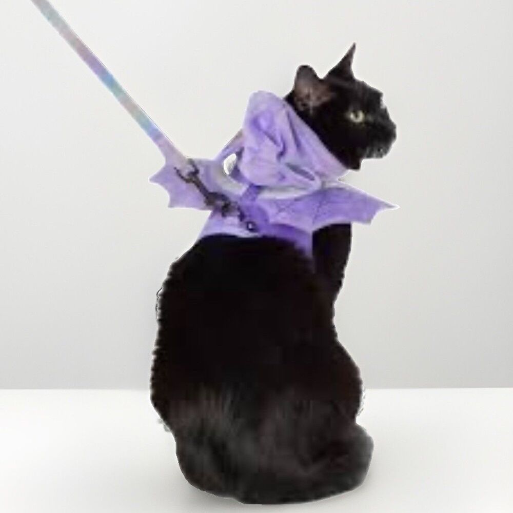 Halloween Purple Bat Kitten Cat Harness & Leash Combo Set